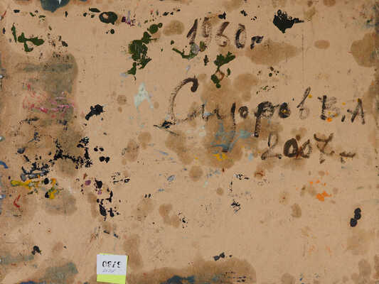 Сидоров Владимир Анатольевич. Гусь